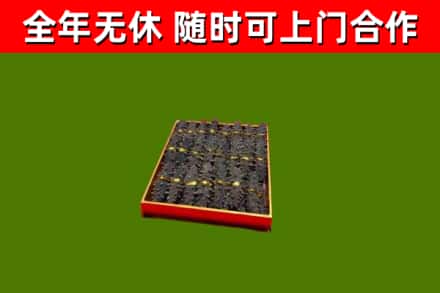 玉树回收海参